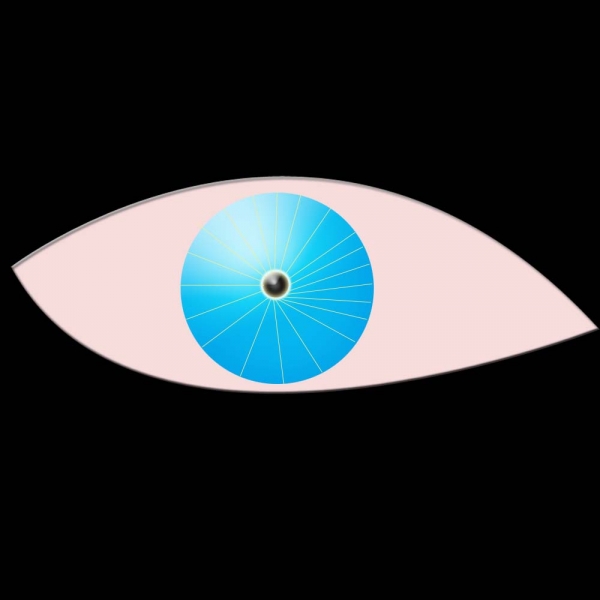 Creation of PXLeyes.com: Step 3